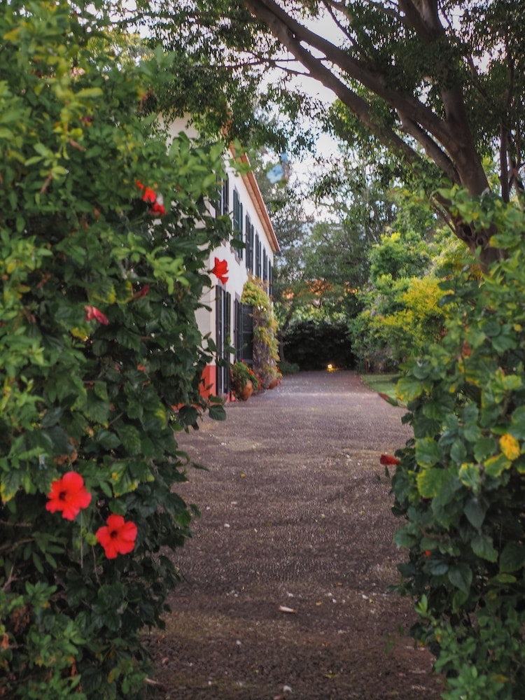 Quinta da Bela Vista - Madeira